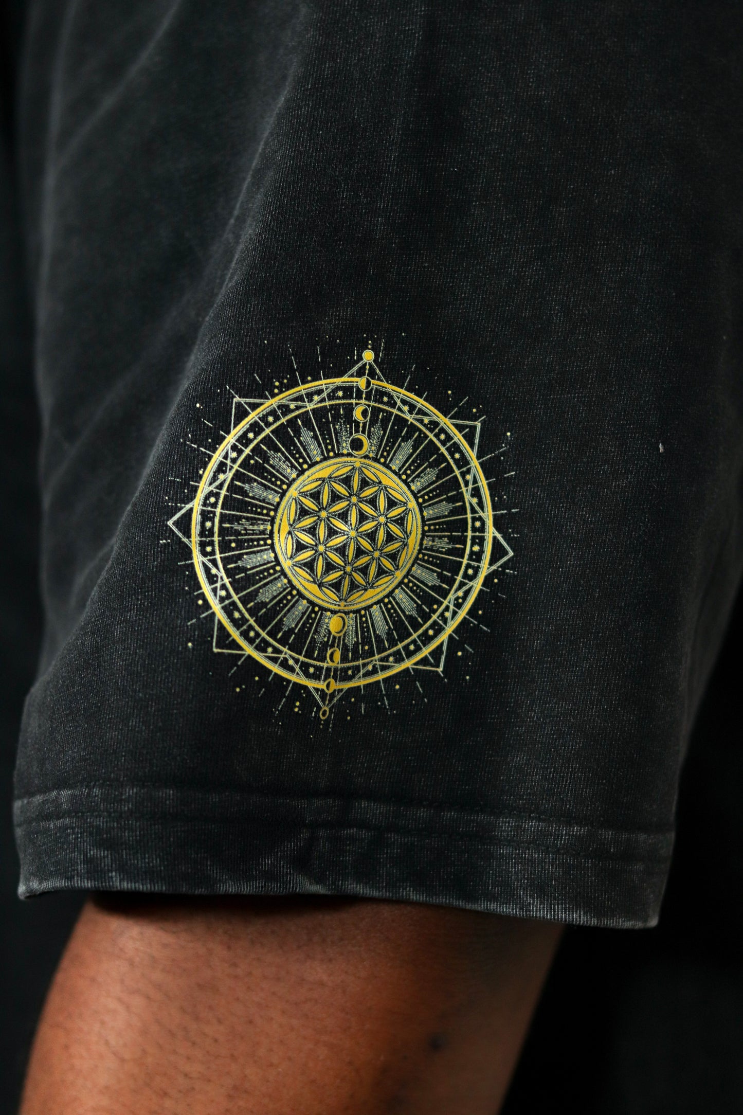 Tree Of Life Graphic